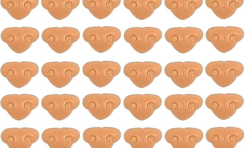 Cat Nose Nose Only (නාසය විතරය්)