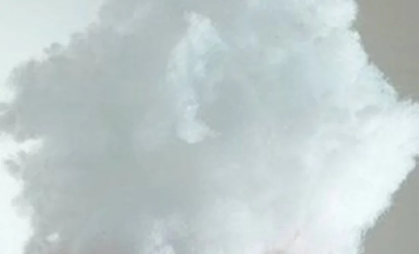 Paddin Fiber Filling (පඩින්)